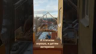Кормушка на окно. Очень простая и полезная!