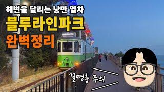 부산 여행 필수 코스! 블루라인파크 해변열차와 스카이캡슐 비교 및 꿀팁 그리고 추천코스 까지 알려드릴게요!