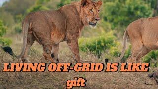 "Living Off-Grid: A Life-Changing Gift of Freedom"