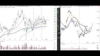 Stock Market & Crypto Analysis 11/22/24