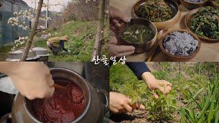 Healthy and delicious Korean vegetable dishes in the mountains/Korean countryside video/Spring