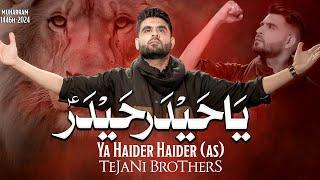 Ya Haider Haider | New Noha 2024 | Tejani Brothers | Mola Ali Noha 2024 | Muharram Nohay 2024/1446