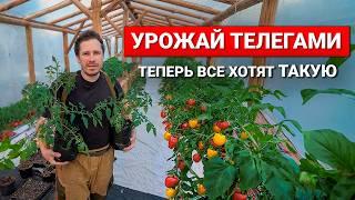 Теплица своими руками — весь процесс от А до Я!