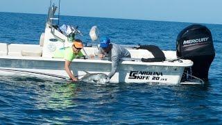 Fishing for monster permit in Boca Grande