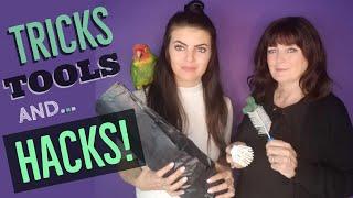 7 Cleaning Hacks For Parrot Owners | WITH FUNNY OUTTAKES COMPILATION