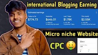 international Blogging Earning  My Micro Niche Blog Income 