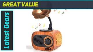 reviewBGJOY Retro Music Speaker Review: Vintage Wireless Speaker with Loud Stereo Sound