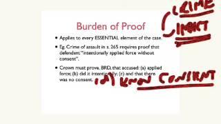 Burden of Proof in Criminal Proceedings