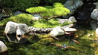 Relaxation - Sounds of Nature - Koi Pond and Waterfall  - 2 Hours