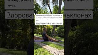 В наклонах спина должна быть в приоритете #йогадляначинающих #йога