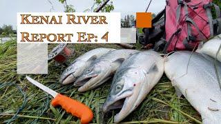 Kenai River Alaska Sockeye Salmon Fishing Report! College Hole and Swiftwater Soldotna Update!