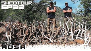 SHED TOUR | EXTREME ELK SHED HUNTING - TOO MANY SHEDS TO PACK OUT | S2E23