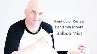 Benjamin Moore Balboa Mist Color Review