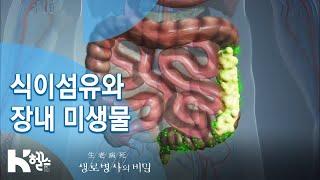 [생로병사의 비밀] 715회 핫클립 - 식이섬유와 장내 미생물