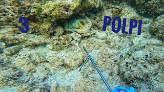 Pesca polpi in apnea, con fucile, a mano libera, in Puglia