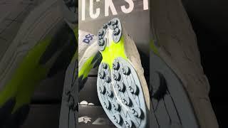 DSC Grey Base Biffer 22 Shoes | Cricket Shoes | Crickstore