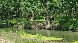 river bath /village/children/Bihar/village life/village natural water park /swimming/scary swimming