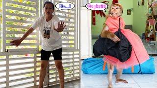 Lyly... stop it right now! Monkey Lyly defies reason to go camping when it's sunny