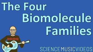 The Four  Biomolecule Families: Carbs, Lipids, Proteins, Nucleic Acids (Introductory Biochemistry)