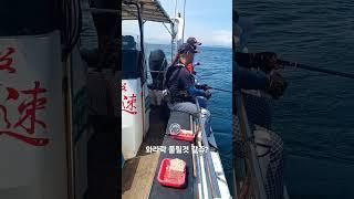 마라도 흘림낚시중 #힐링 #fishing #선상흘림 #벵에돔 #벤자리