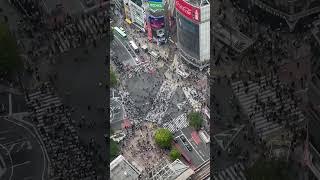 Shibuya scramble crossing #tokyo #pedestrian #travel #japan #shibuya #shibuyascramble
