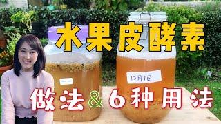 【种植39】水果皮环保酵素的制作方法，6种用途用法 | 酵素肥料、酵素防虫、酵素清洁剂怎么用，简单、天然、好闻 How to make fruit peel enzymes