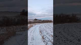 д. Беженка