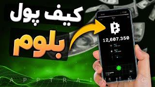 آموزش اتصال ربات بلوم Blum به کیف پول تون کیپر | لیست شدن بلوم | لینک دعوت بلوم