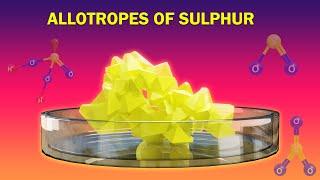 Allotropes & Reactions of Sulphur | P Block Elements | Chemistry Telugu | Class 12 | Ncert