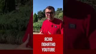 Как использовать известные песни в своих видео на YouTube? #shorts