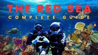 SCUBA DIVING - SHARM EL SHEIKH, EGYPT | Unreal Underwater Footage | How to Dive in the Red Sea