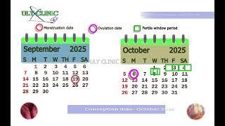 Fertile days October 2025- 32-day menstrual cycle