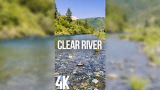 Soothing Sounds of a Clear River for Relaxation - 4K Vertical Screensaver - Jedediah Smith Park