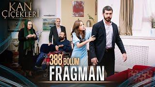 Kan Çiçekleri 388. Bölüm Tanıtımı