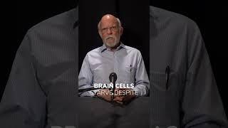 The Mitochondria-Brain Connection Your Doctor Missed