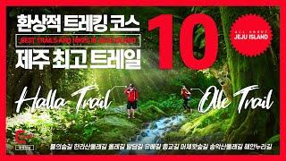 제주도 트레킹 코스 총정리, 제주 트레일 BEST 10ㅣ제주세계유산축전 불의숨길, 올레길, 한라산둘레길, 밭담길, 순례길 등 가을 특집 제주의 걷기 여행 모든 길 총정리