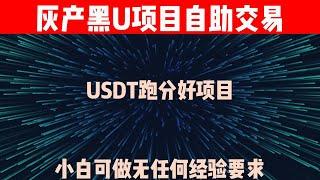 2023最新灰产|网赚 项目|网络赚钱 项目|赚钱  教学|教你五分钟从零到1000（真实网站演示教学）