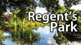 Regent's Park - London