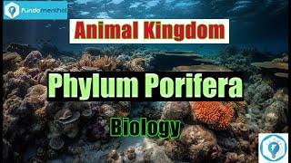 Phylum PORIFERA (Sponges) Animal KINGDOM ANIMALIA