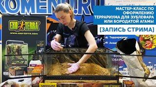 Мастер-класс по оформлению террариума для бородатой агамы или эублефара. Совместно с EXO TERRA.