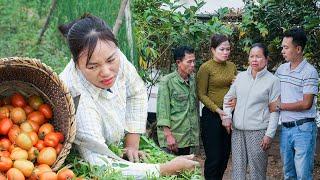 Emotional Reunion: Kind Engineer Finds Missing Mother While Trinh Harvests Tomatoes