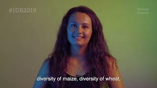 CIMMYT: dedicated to diversity