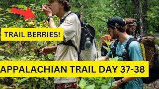 Hot Weather Hiking Tips Day 37-38 Appalachian Trail $1k Budger Hike