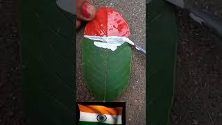 How to draw national flag of india #art#independenceday#flag #tricolor#army#national