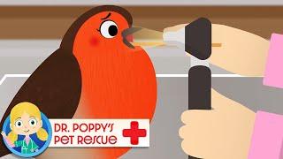 Twinkle The Robin  | Doctor Poppy - Animals For Kids | Cartoon Animals