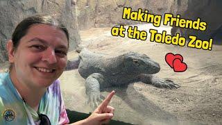 Meeting an ADORABLE Komodo Dragon and More Reptile Friends While Exploring the Toledo Zoo! 