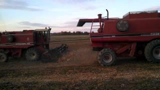 Miner Farms Bean Harvest '13