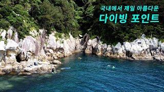 신비로운 물고기와 연산호들을 볼 수 있는 곳, 천연기념물로 지정된 제주도 '섶섬'_프리다이빙 포인트