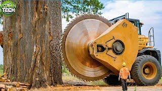 Extreme Dangerous Fastest Big Chainsaw Cutting Tree Machines | Monster Stump Removal Excavator #2