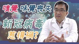 嗅、味覺喪失 新冠病毒惹得禍？｜好心肝·好健康